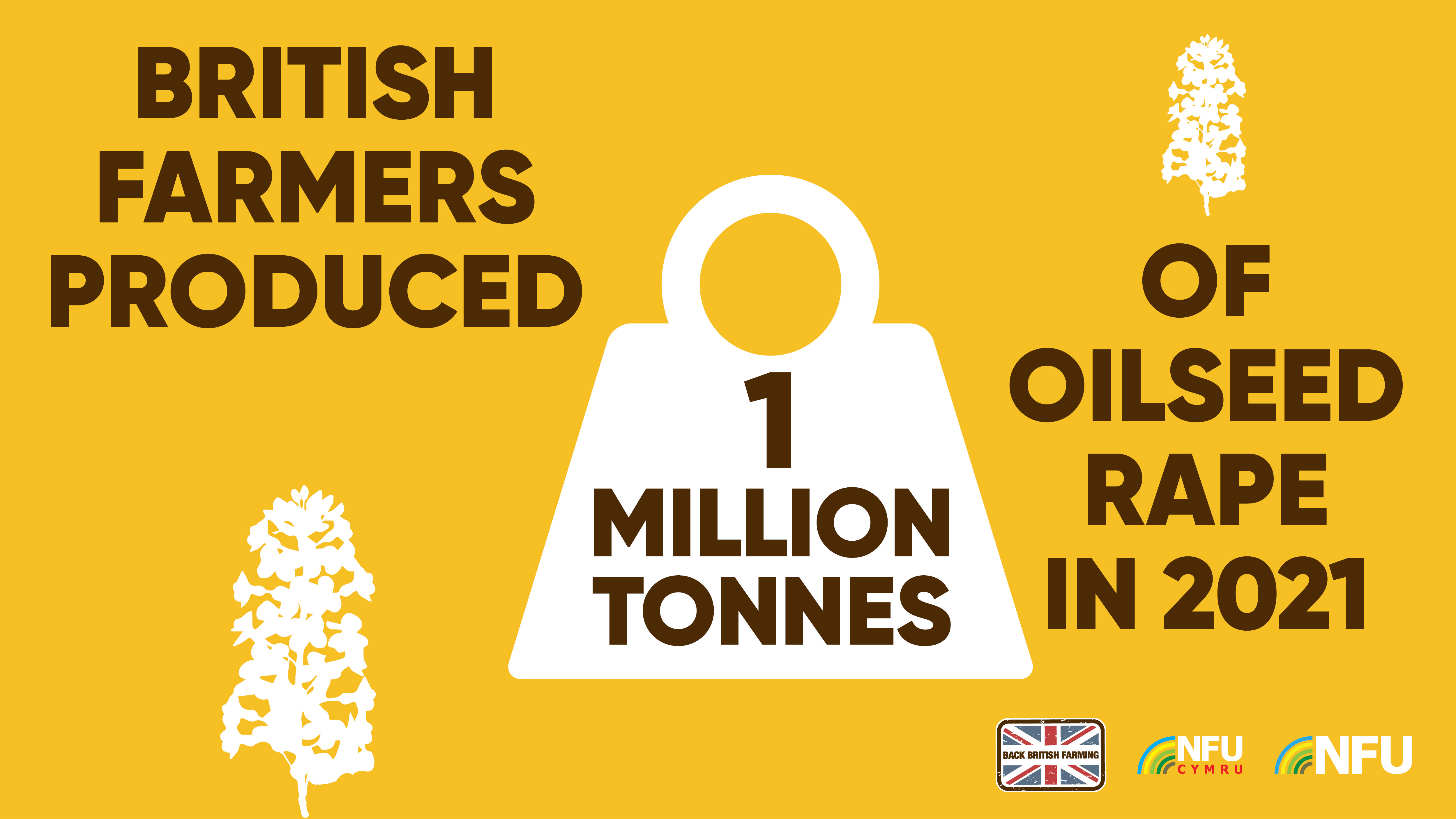 British farmers produced 1 million tonnes of oilseed rape in 2021