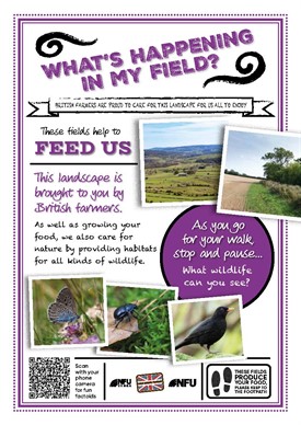 What's growing in my field – environment