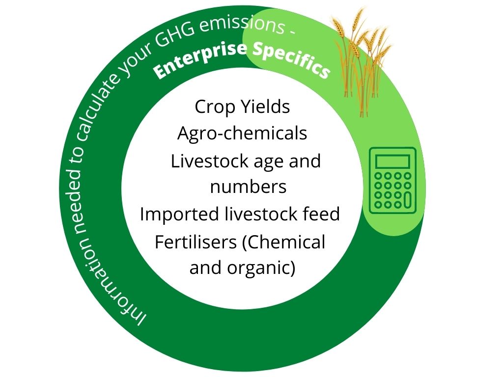 Information needed to calculate GHG emissions - enterprise specifics