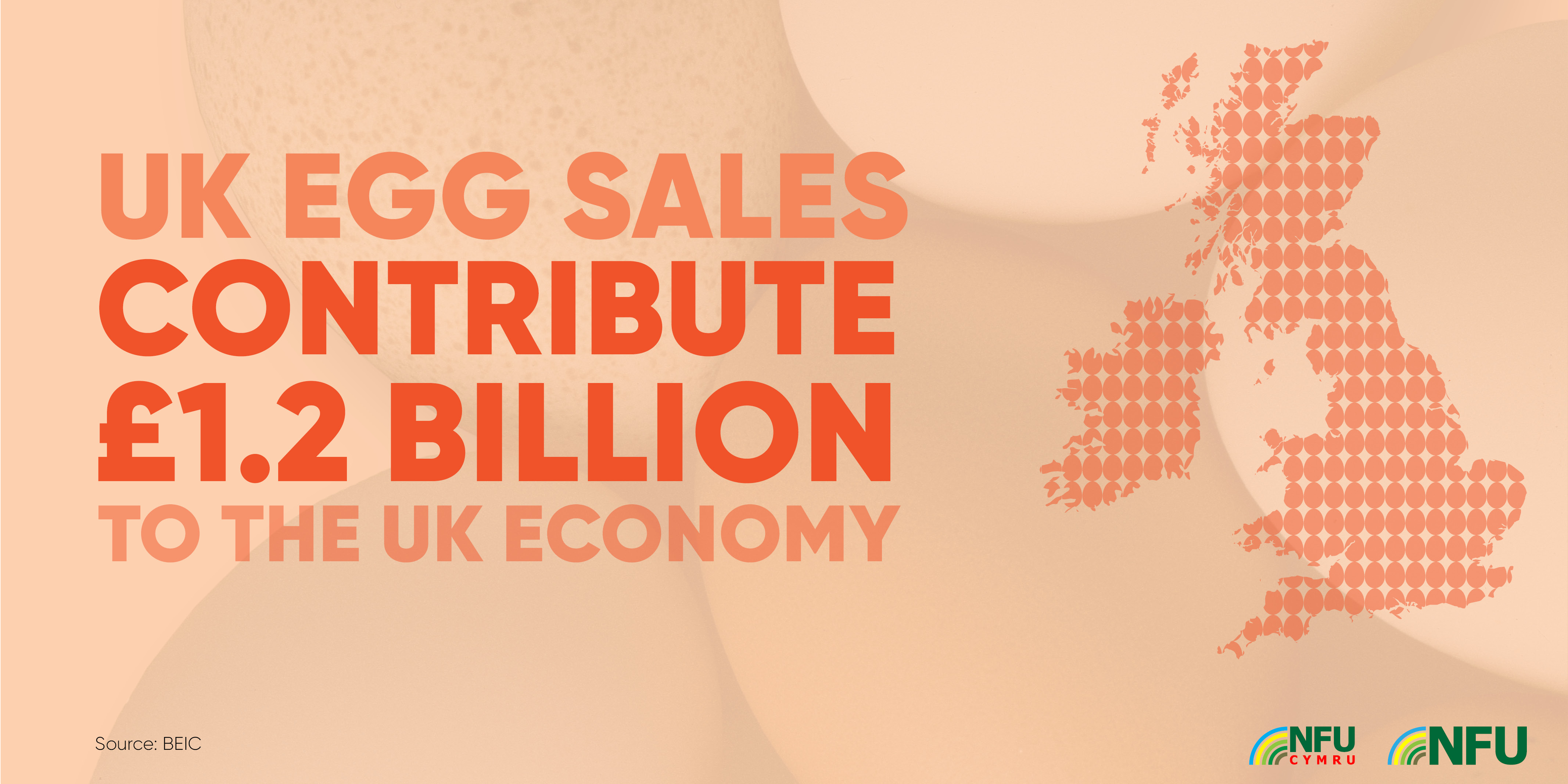 UK egg sales contribute £1.2 billion 