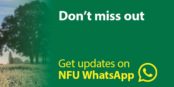 Autumnal pic and sign up to NFU WhatsApp listing image