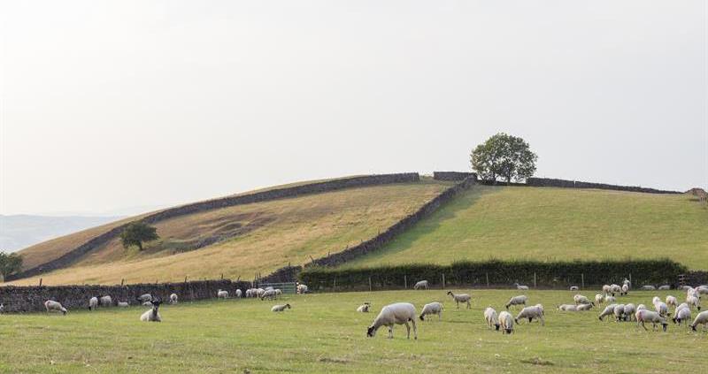 NFU raises upland concerns during Land Use Framework consultation