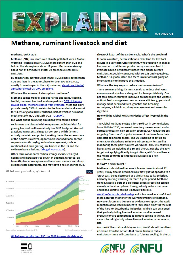 Methane, Ruminant Livestock And Diet