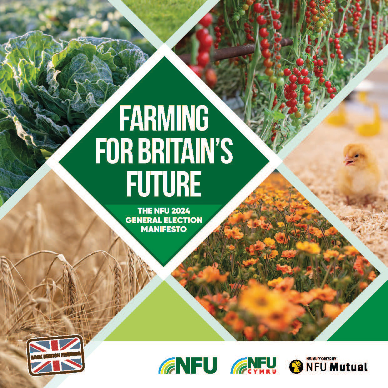 Election Manifesto Farming For Britains Future Final