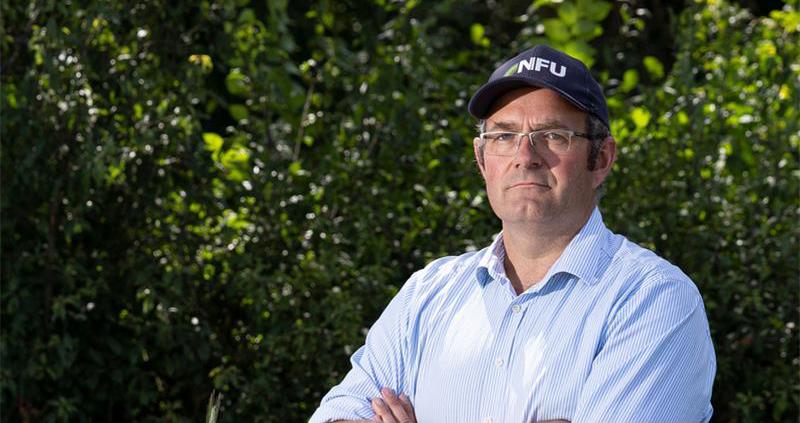 NFU calls for ban