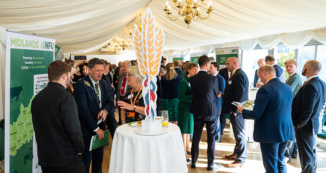 Great turnout at the parliamentary reception