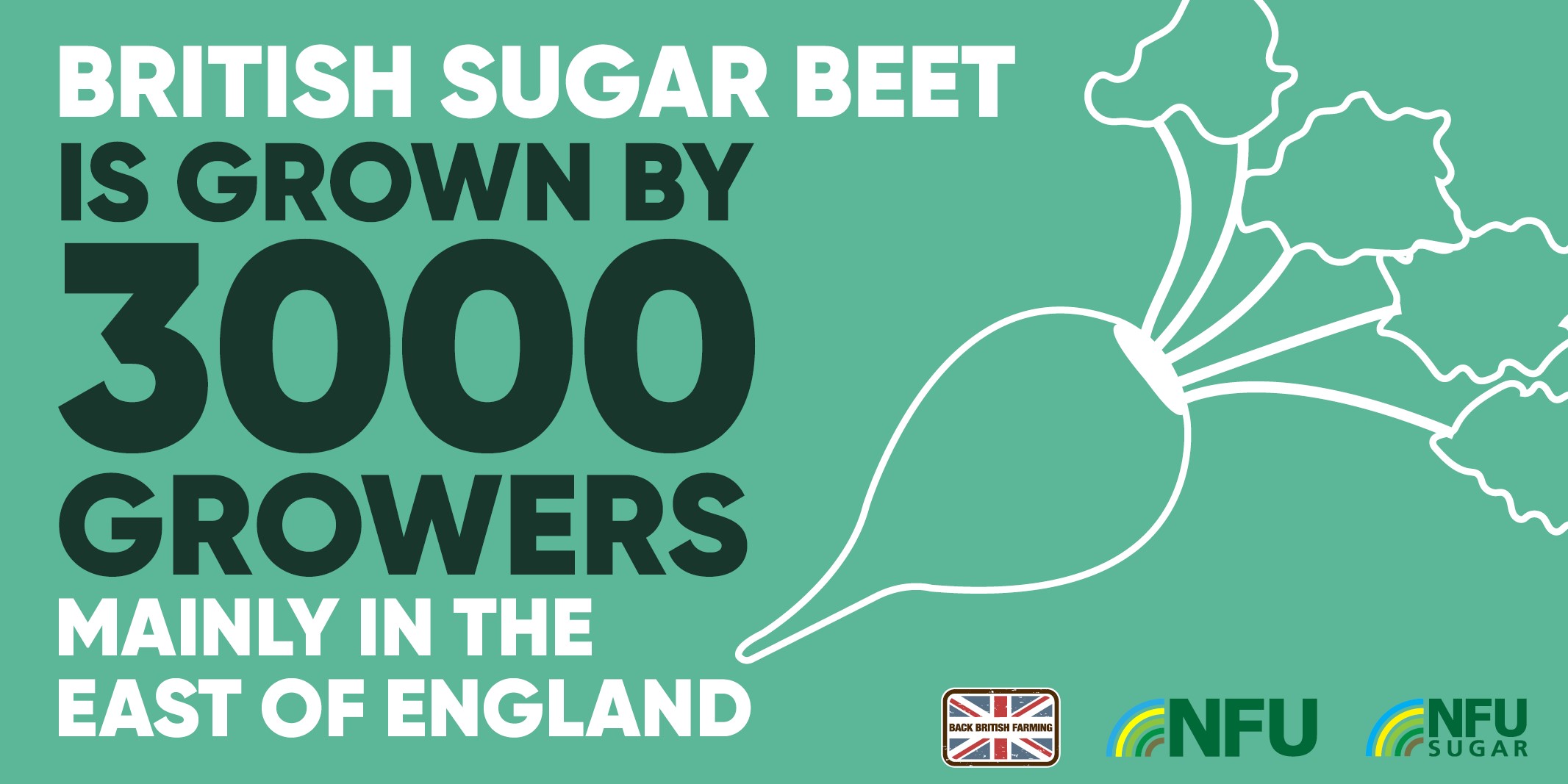NFU Sugar infographic Twitter 300 growers
