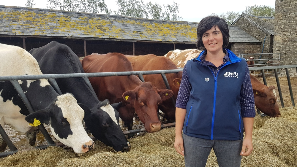 NFU Cymru milk board chair Abi Reader