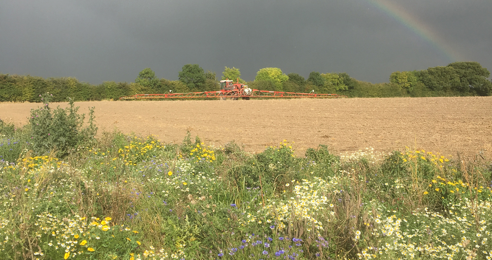 A sprayer uses glyphosate with a wild flower field margin in the foreground