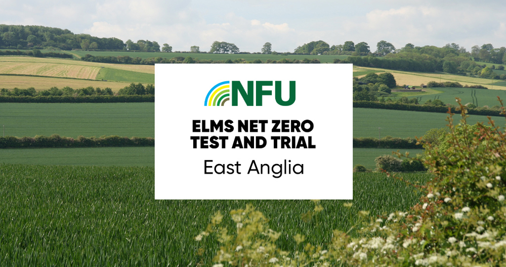 A representative image of the East Anglia Net Zero Test & Trial workshop