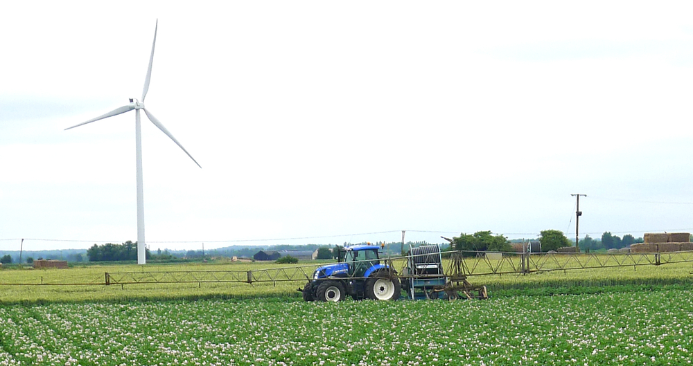 A tractor and boom irrigation set-up on a potato crop in the fens