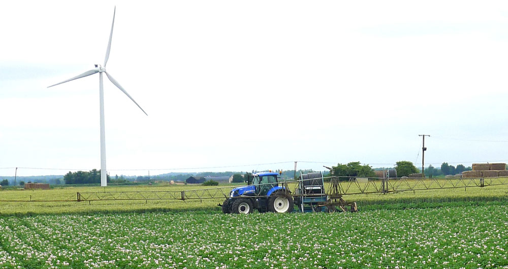 A tractor and boom irrigation set-up on a potato crop in the fens