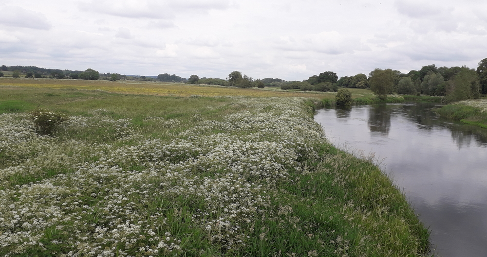 Image of river and farmed landscape
