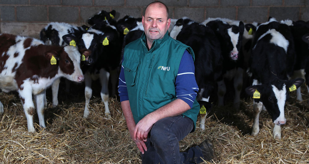 Michael Oakes, Dairy chairman