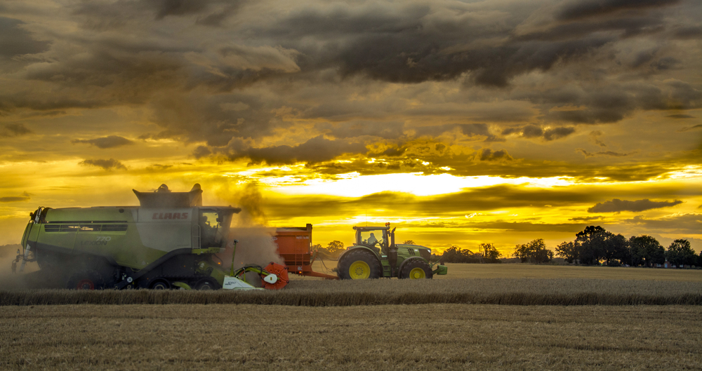 Harvest time at Park Farm in Thorney, Cambridgeshire