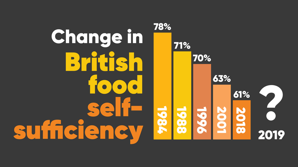 A graph showing the decrease in the level of British food self-sufficiency since 1984