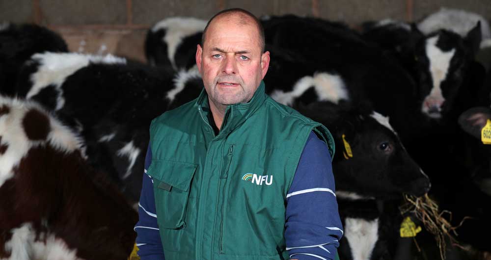 NFU Dairy Board Chairman Michael Oakes kneels in front of cows