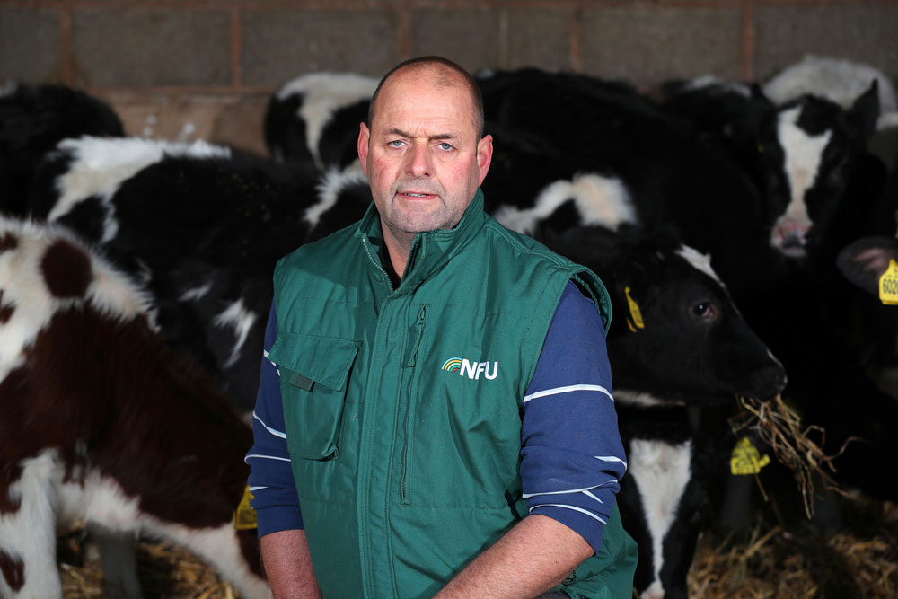 NFU Dairy Board Chairman Michael Oakes kneels in front of cows