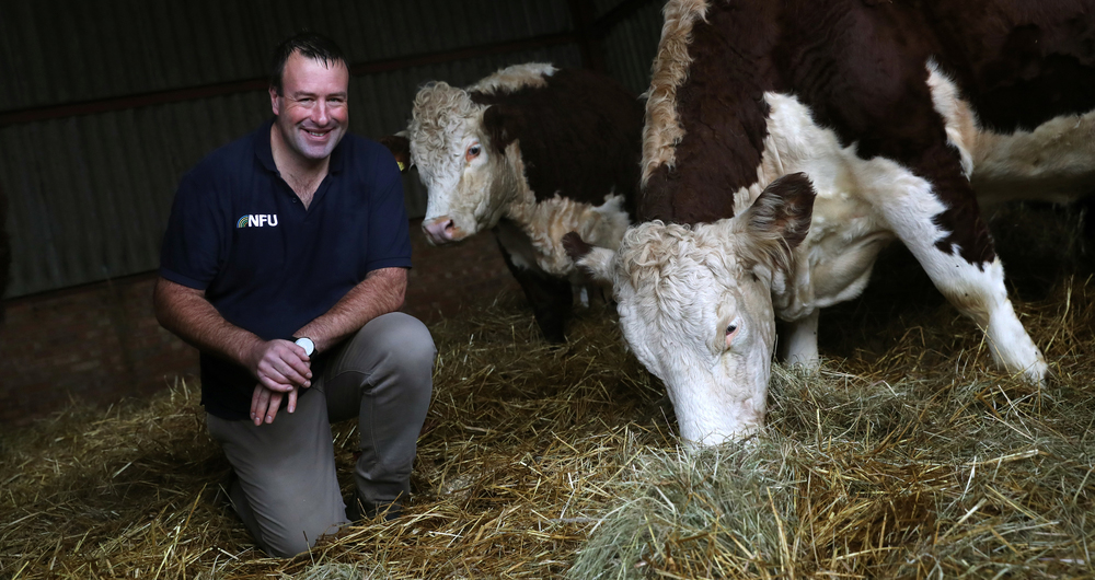 Vice President Stuart Roberts at a farm in Hertfordshire