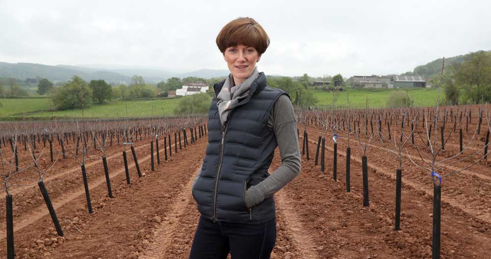 Ali Capper and her team plant new apple trees on her farm