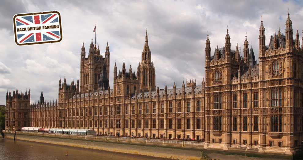 The Palace of Westminster