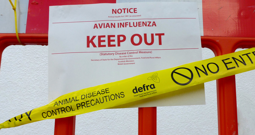 Avian influenza keep out