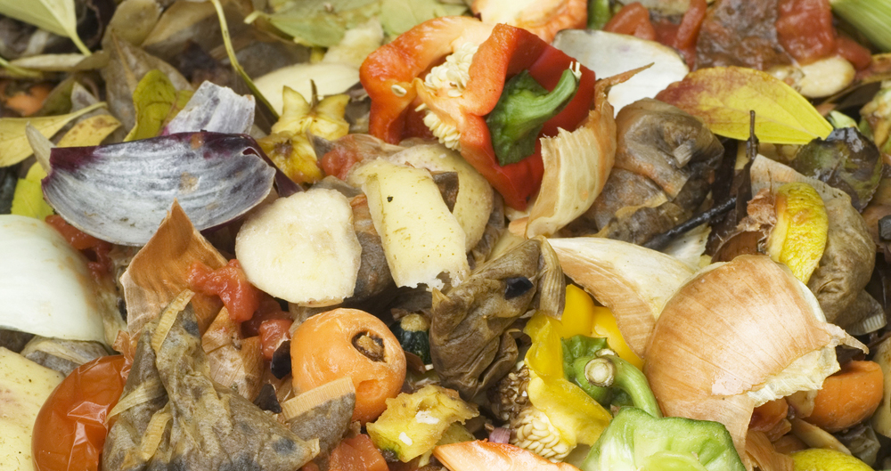 Compost heap, food waste