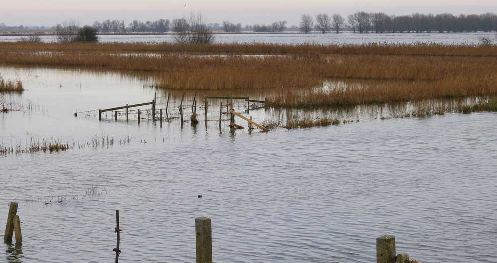 Flooding Nene Washes Farm Land