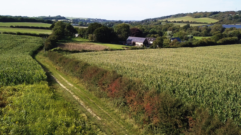 Picture of farmland