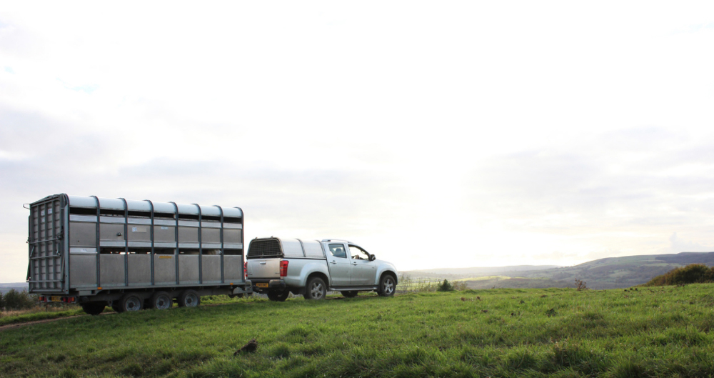 A picture of a livestock trailer being towed by a 4x4