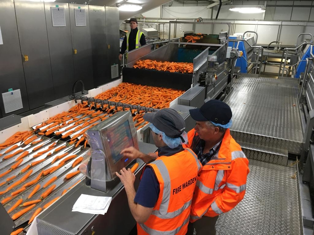 Image of a machine that grades carrots 