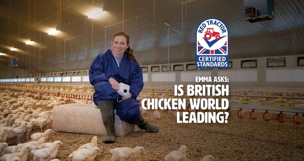 A promotional image supporting Red Tractor's Love Chicke, Love Red Tractor campaign