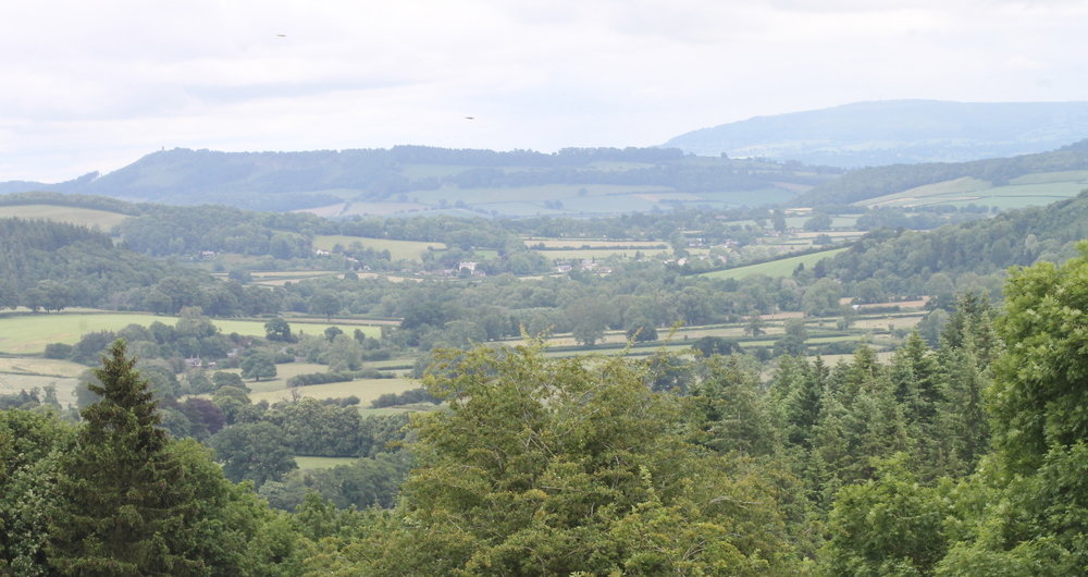 Image of farmed landscape