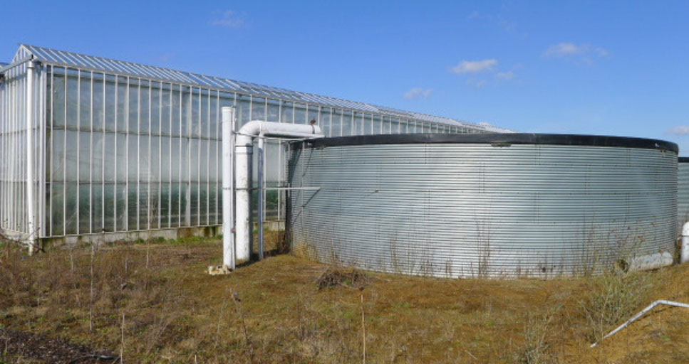 A rainwater harvesting storage tank next to a glasshouse