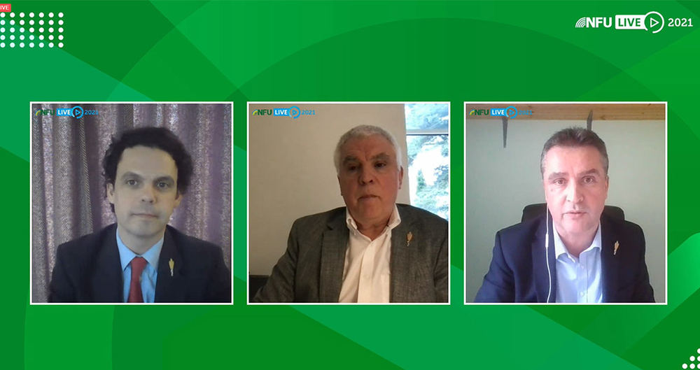 NFULIVE2021 Virtual Annual Conference