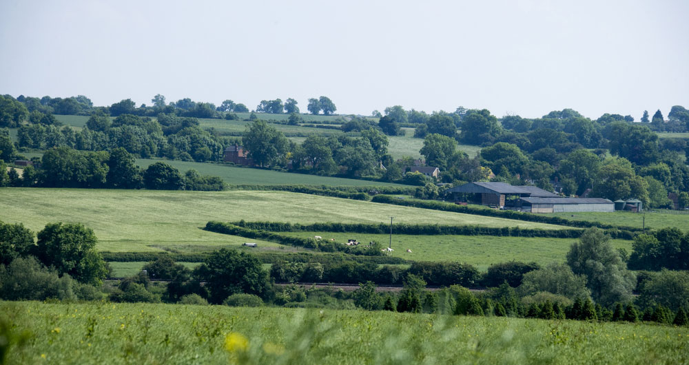 Farming landscape