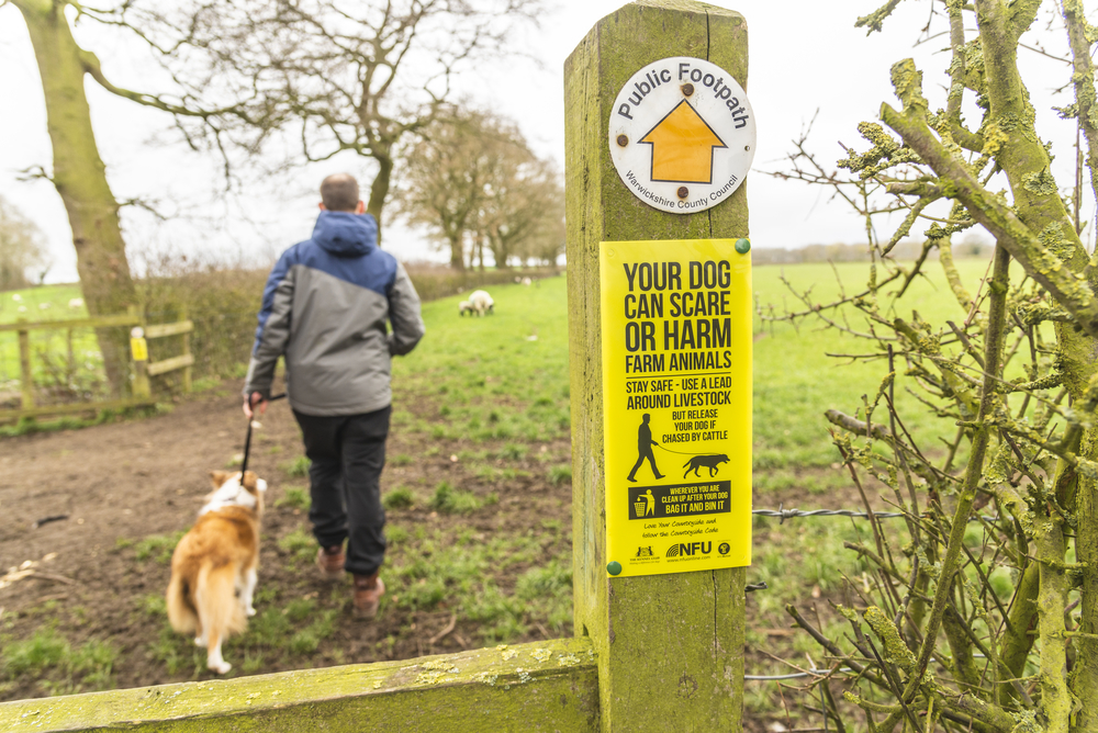 Heading off into the countryside with a pet dog