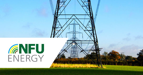 NFU Energy - image of electricity pylon in field
