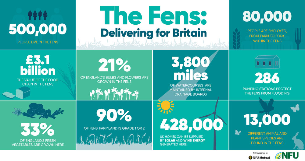 An infographic of food and farming in the Fens