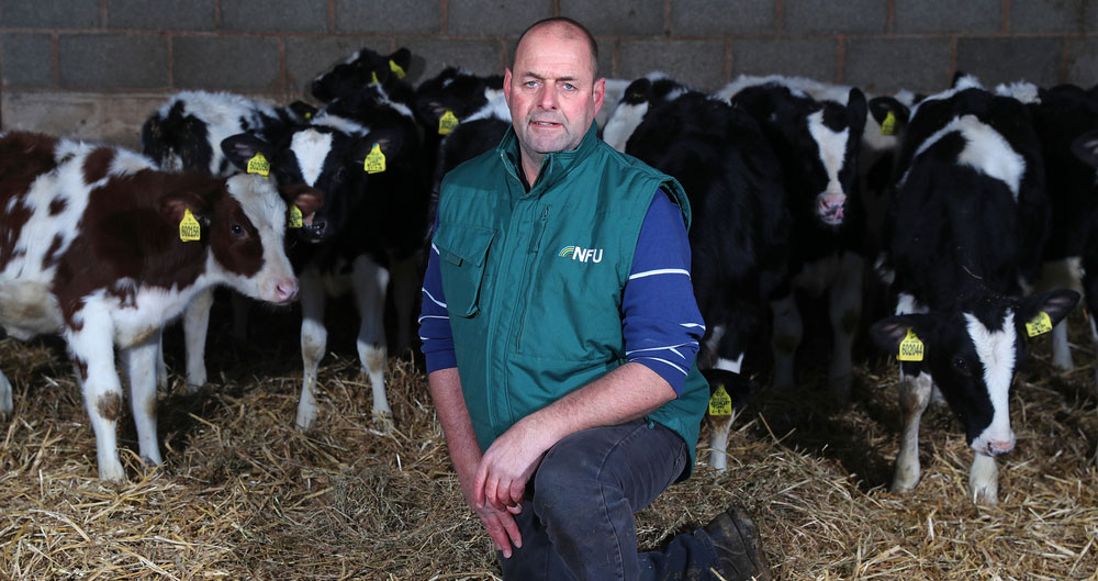 Michael Oakes, Dairy chairman