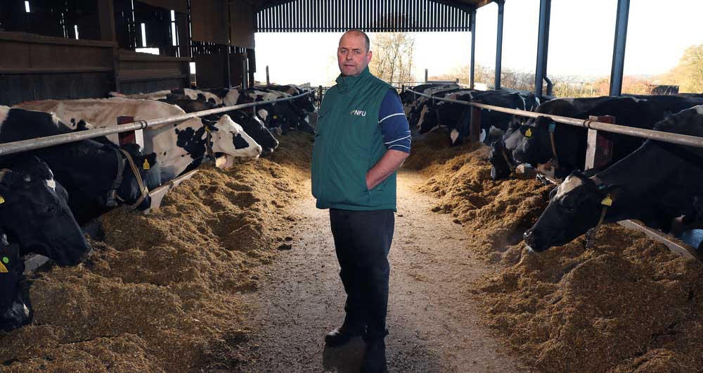 Michael Oakes, Dairy chairman