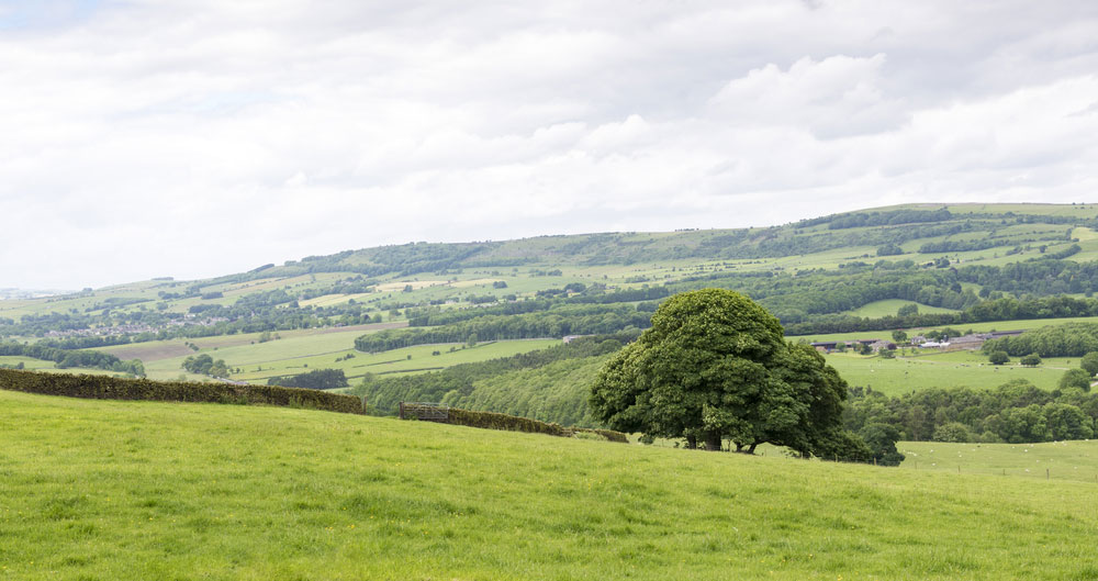 Derbyshire landscape