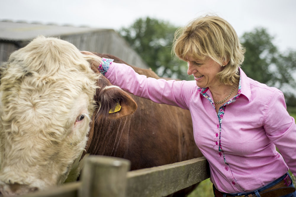 NFU President Minette Batters on farm with cattle