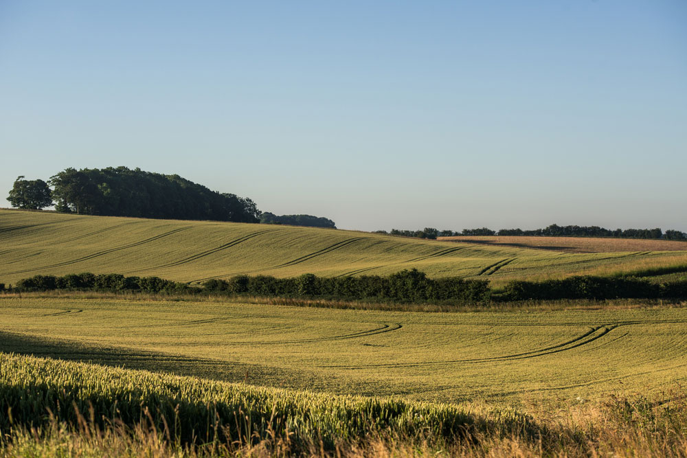 Farming landscape