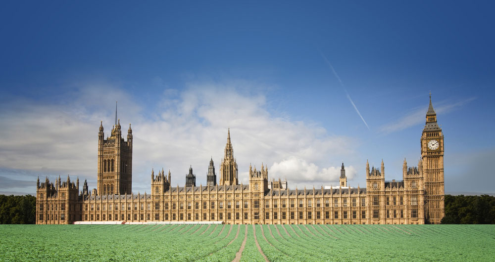 The palace of Westminster is set in a farmed field