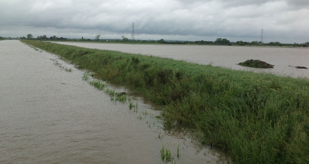 Farmland flooded near Wainfleet, Lincolnshire