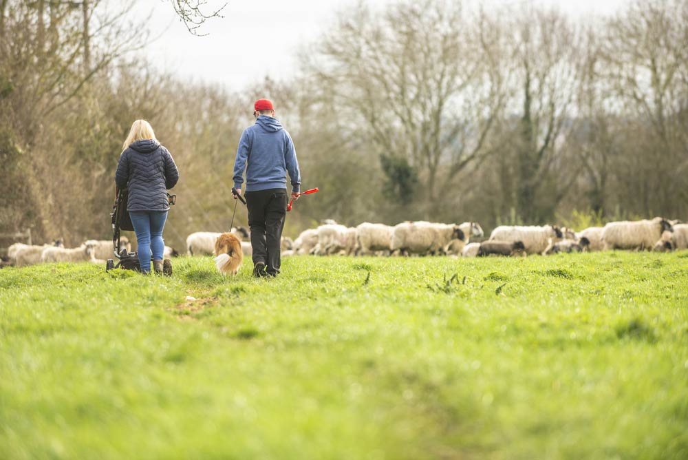 NFU Yearbook 2019 to 2020