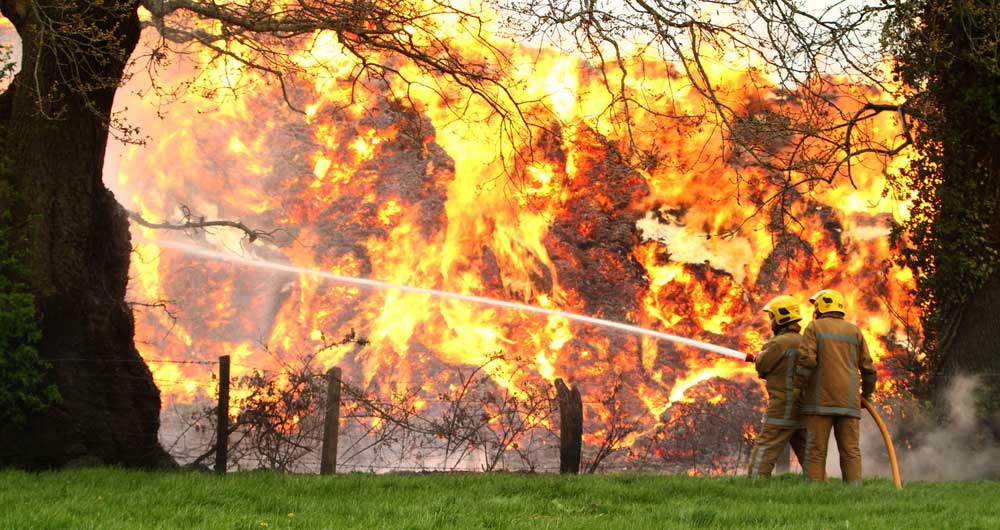 Firefightes tackle a ferocious field fire in North Shropshire after a miscanthus crop went up in flames