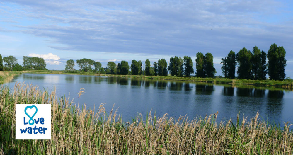 A photograph of a reservoir in Norfolk with the Love Water logo on it