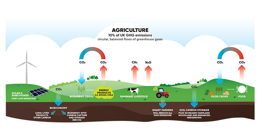 A diagram showing the flows of greenhouse gases in agriculture